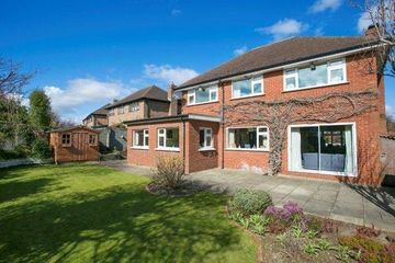 Property Header