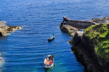 Property Header