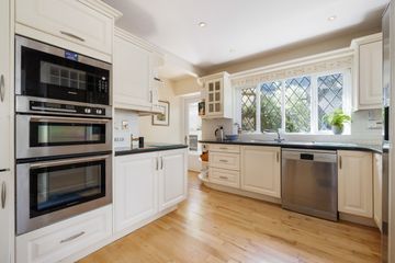 Property Header