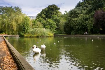 Property Header