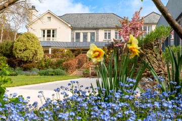 Property Header