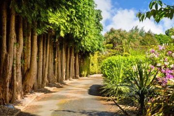 Property header
