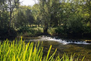 Property header