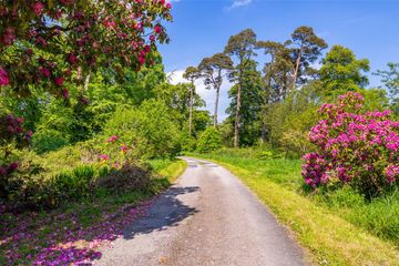 Property Header