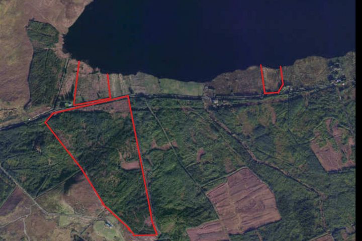 c. 59ac Forestry & Agri Land, Doolough, Mullagh, Co. Clare