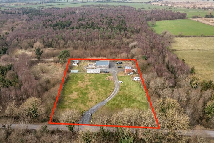 Nurneybog, Nurney, Nurney, Co. Kildare, R51NX63