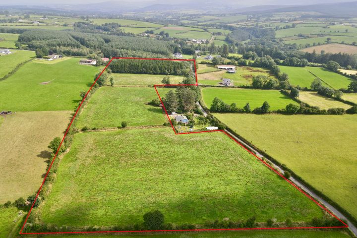 Land At Knockroe (11.8 Acres) Approx., Colligan, Dungarvan, Co Waterford