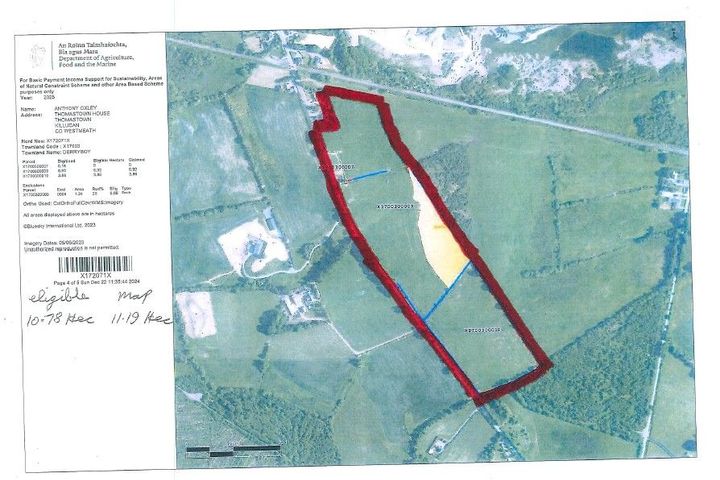 Derryboy WH10619, Killucan, Co. Westmeath