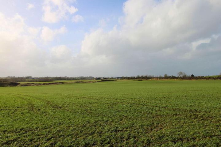 53.62 Acres Coolderry, Ardcroney, Nenagh, Co. Tipperary