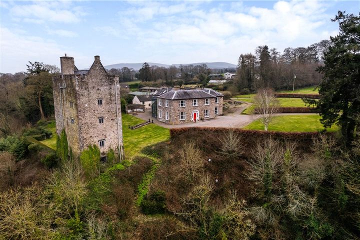 Carrigacunna Castle, Killavullen, Mallow, Co. Cork, P51X043