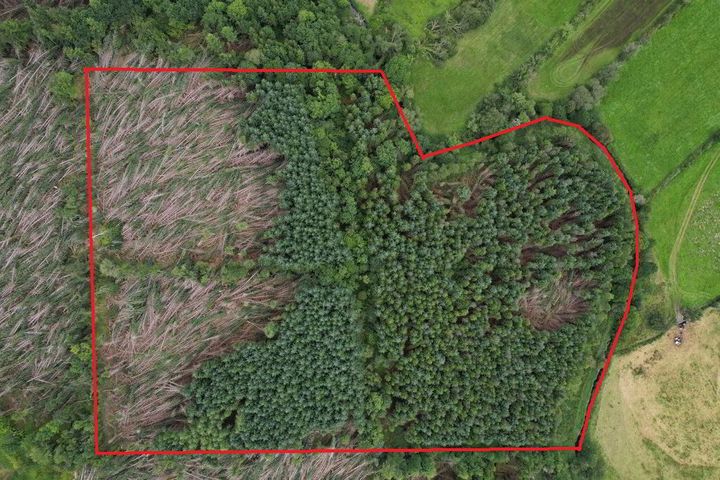 Aghavilla, Carrigallen, Co. Leitrim