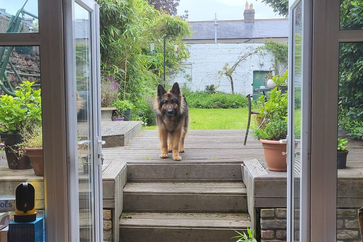 Aughrim Street, Stoneybatter, Dublin 7