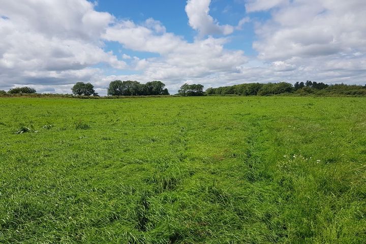 Drumgullane West, Grange, Co. Waterford