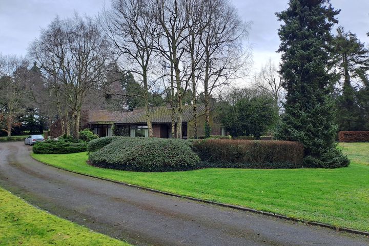 Wyvern, Ardreigh, Carlow Rd, Kildare