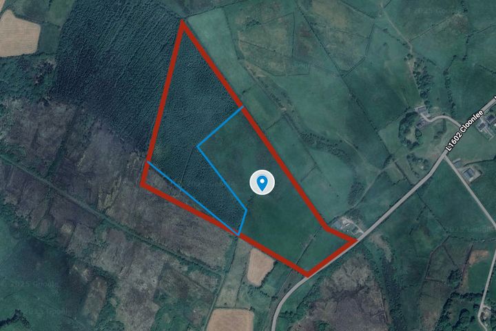 Ballybane Lower, Ballinlough, Co. Roscommon