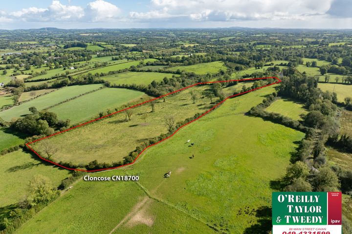 Lot 2 - Circa 9 Acres at Cloncose, Arva, Co. Cavan, H12DN82