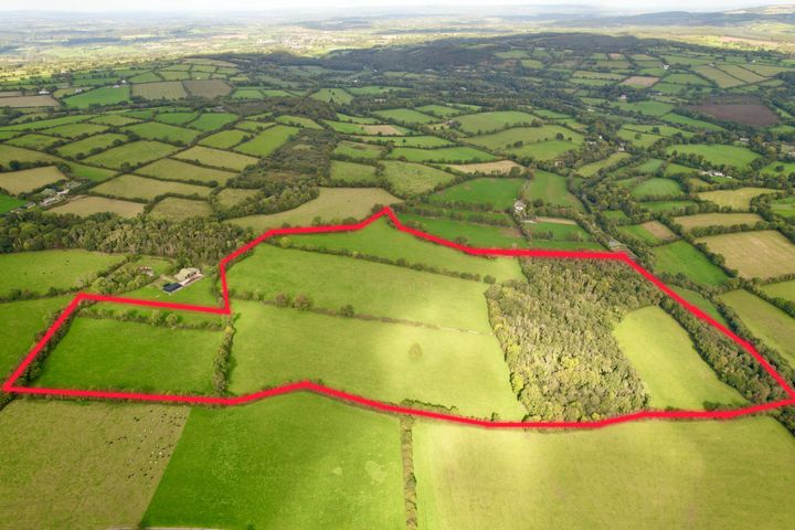 Coolroe Thomastown Co Kilkenny, Thomastown, Co. Kilkenny