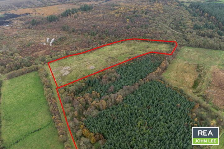 Ballymackeogh, Newport, Co. Tipperary