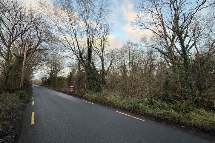 Garden Hill, Castleconnell, Co. Limerick, Castleconnell, Co. Limerick