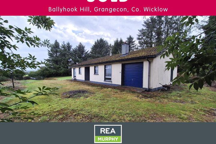 Ballyhook Hill, Grangecon, Co. Wicklow, W91T0F1