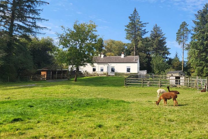 `CURRAGHDUFF FARM`, CURRADUFF, OUGHTERARD, Co. GALWAY, H91R2Y7