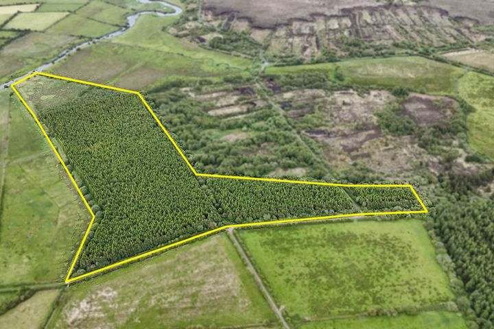 21.3 ACRES (approx) OF PRIME GROWING FORESTRY LOCATED AT TREANBOY, Ballymoe, Co. Galway