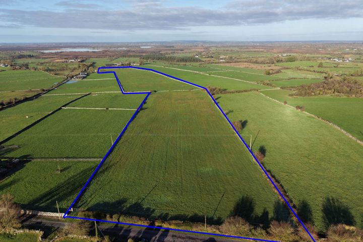 c. 16.75 Acres, Torpan Beg, Ballyforan, Co. Roscommon