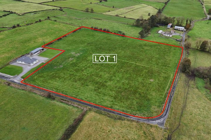 Lot 1 - c. 6.50 Acres, Shannagh More, Glenamaddy, Co. Galway
