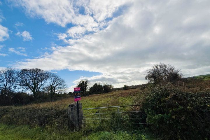 Morgan South, Askeaton, Co. Limerick
