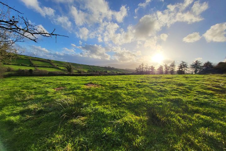 Buckfield, Kilmeena, Co. Mayo