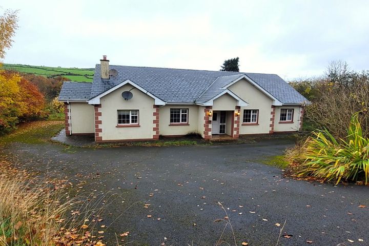 Rio, Sruhaun, Baltinglass, Co. Wicklow, W91Y196