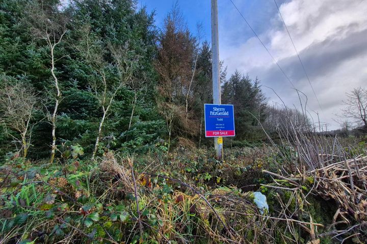 27.13 Acres Of Forestry, Stripe North, Milltown, Co. Galway