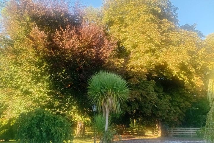 Kilcreene, Kilkenny, Co. Kilkenny