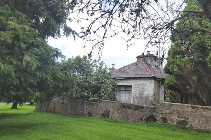 Knockroe, Castlerea, Co. Roscommon, F45FW24