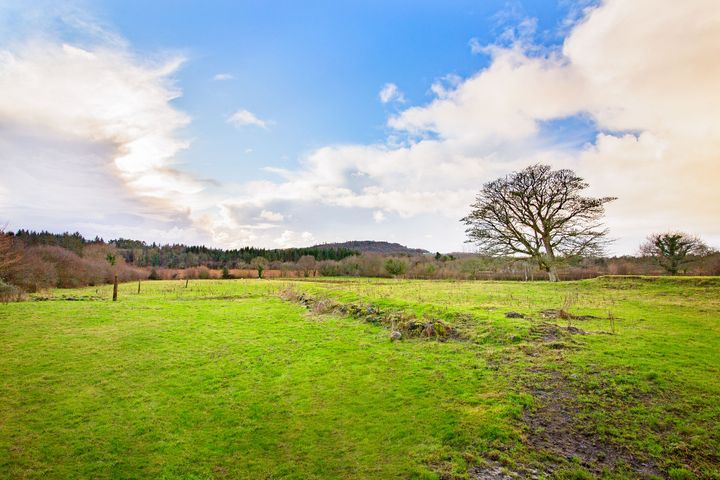 3.28 Acres (1.33 Hectares), Hazelwood, Sligo
