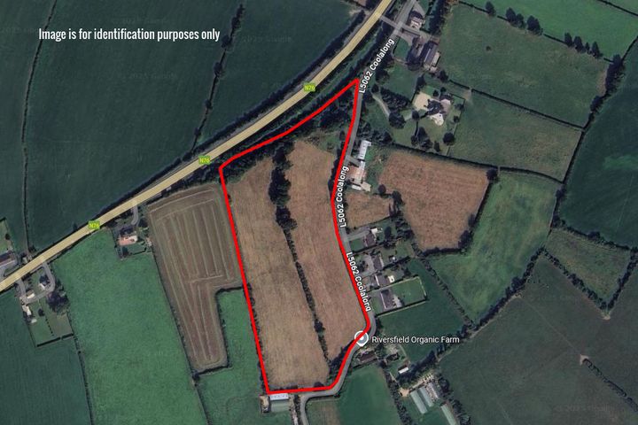 Coolalong, Callan, Co. Kilkenny, R95K072