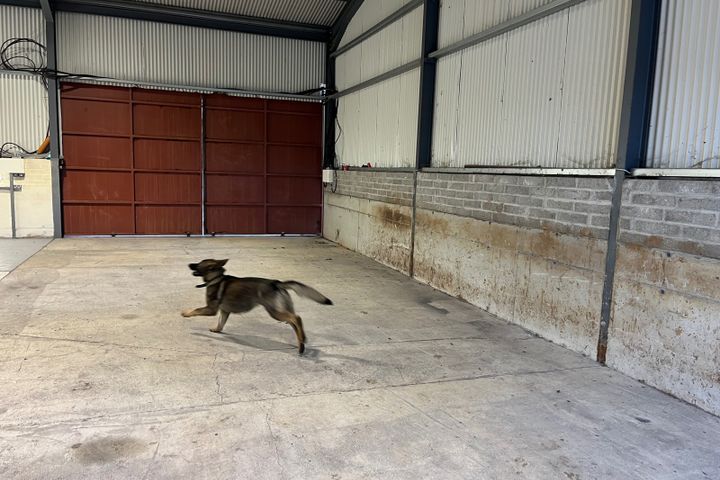 Celbridge road , Leixlip, Co. Kildare