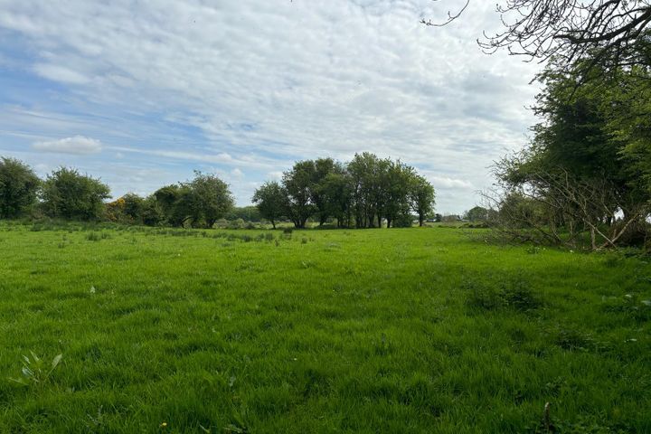 Mountain Forthill, Ballyhaunis, Co. Mayo, F35X624