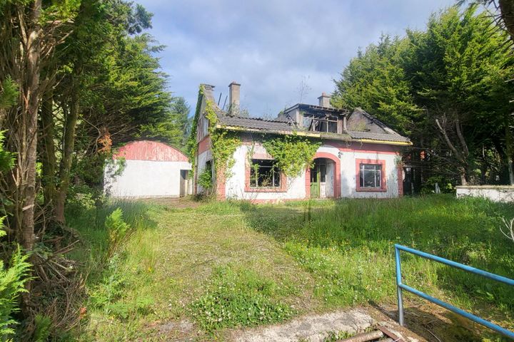Lisroughty, Garadice, Corraleehan, Co. Leitrim, N41D430