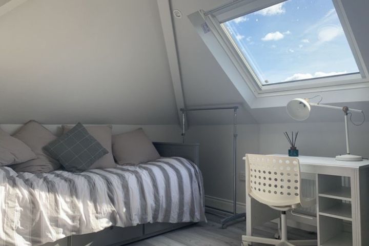 Chestnut Road,Mount Merrion,Blackrock,Co. Dublin, Mount Merrion, Co. Dublin