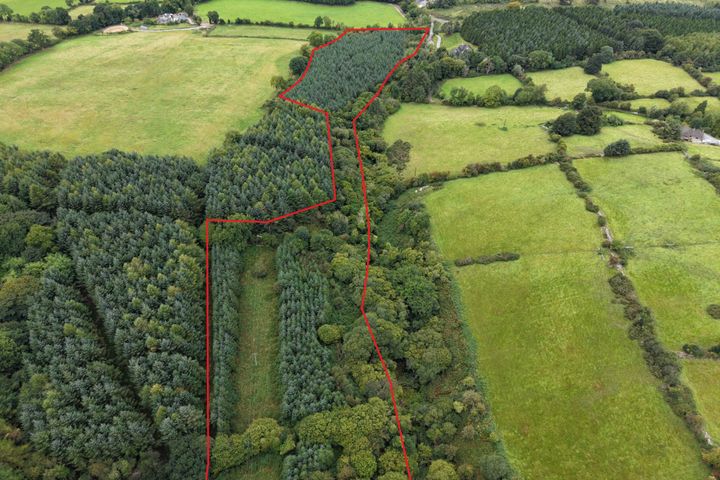 Cappadrummin, Killusty, Fethard, Co. Tipperary