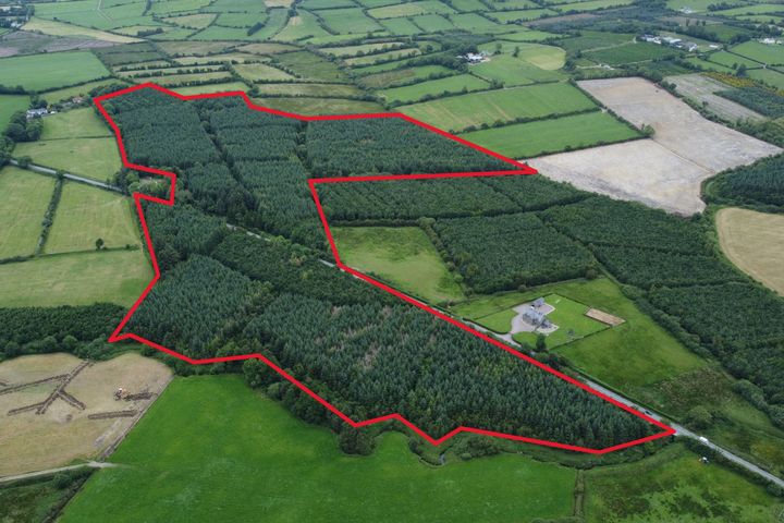 Maule, Boherbue, Co. Cork