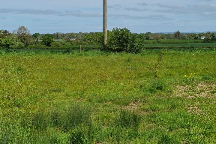 Site at, Burnchurch, Co. Kilkenny