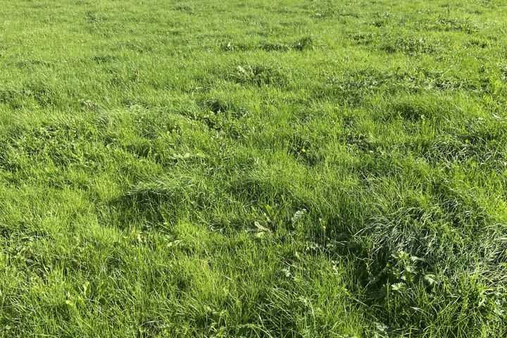 Lower Monard & Russelstown, Monard, Co. Tipperary, E34W657