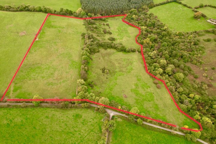Ballyneill Lower Muckalee Co Kilkenny, Ballyfoyle, Co. Kilkenny