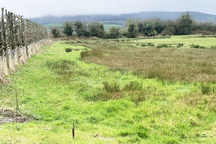 Ballinahown, Kilmallock, Co. Limerick