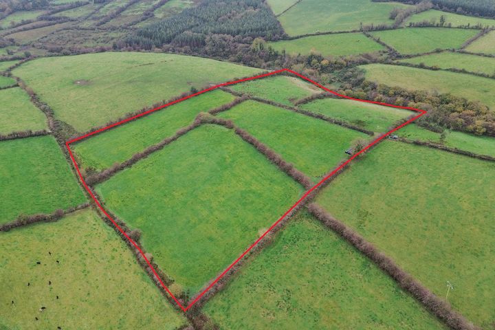 Drumanespick, Bailieborough, Co. Cavan