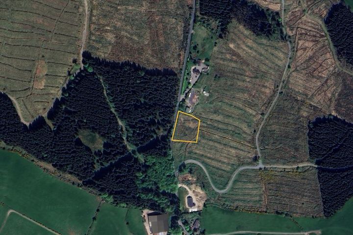Fauna, Donard, Co. Wicklow