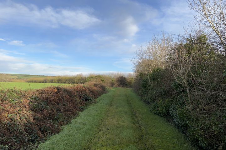 Hill of Rath, Tullyallen, Co. Louth