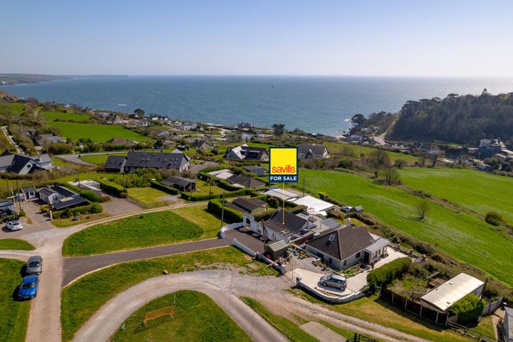Siobhanna, Cooney's Field, Myrtleville, Co. Cork, P43EV78